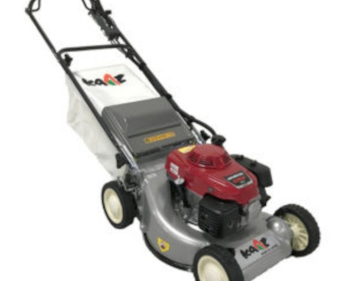 Danarm LM4860HX 19" 2-speed, 4-wheel Pedestrian Mower